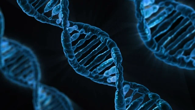研究聚氨酯環(huán)保有機鉍催化劑的分子結構與催化活性的關系，實現(xiàn)性能定制。